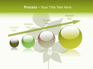 A Green Leaf Isolated On White Background PowerPoint Template