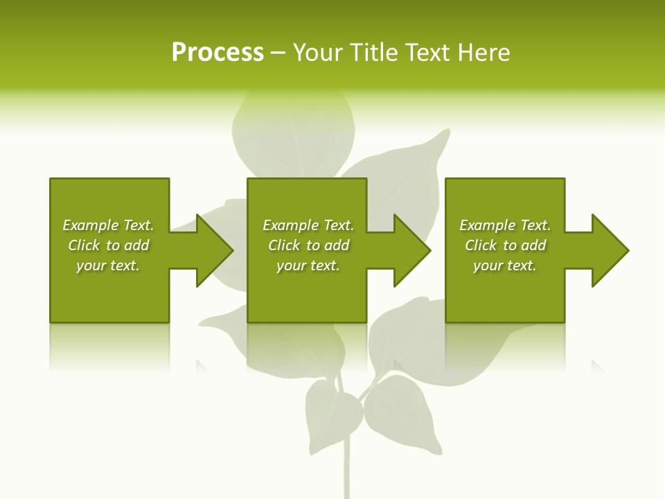 A Green Leaf Isolated On White Background PowerPoint Template