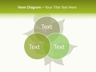 A Green Leaf Isolated On White Background PowerPoint Template