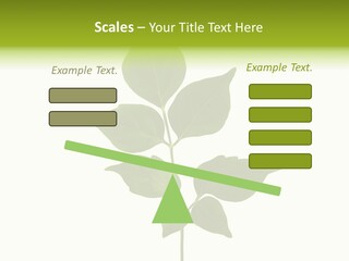 A Green Leaf Isolated On White Background PowerPoint Template
