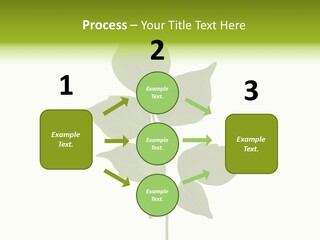 A Green Leaf Isolated On White Background PowerPoint Template