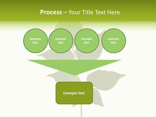 A Green Leaf Isolated On White Background PowerPoint Template