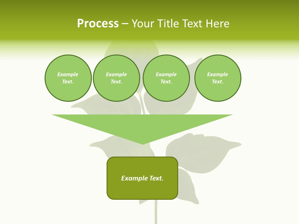 A Green Leaf Isolated On White Background PowerPoint Template
