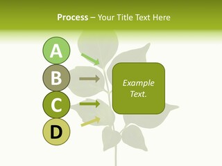 A Green Leaf Isolated On White Background PowerPoint Template