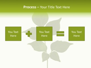 A Green Leaf Isolated On White Background PowerPoint Template