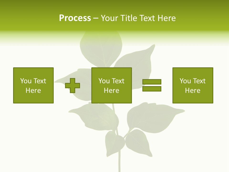 A Green Leaf Isolated On White Background PowerPoint Template