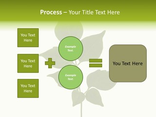A Green Leaf Isolated On White Background PowerPoint Template