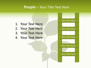 A Green Leaf Isolated On White Background PowerPoint Template