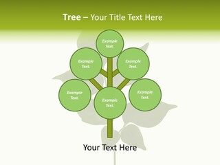A Green Leaf Isolated On White Background PowerPoint Template