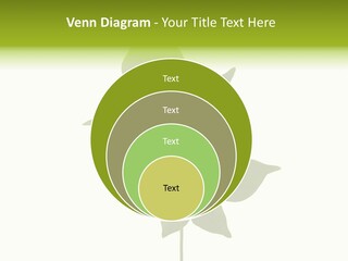 A Green Leaf Isolated On White Background PowerPoint Template