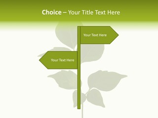 A Green Leaf Isolated On White Background PowerPoint Template