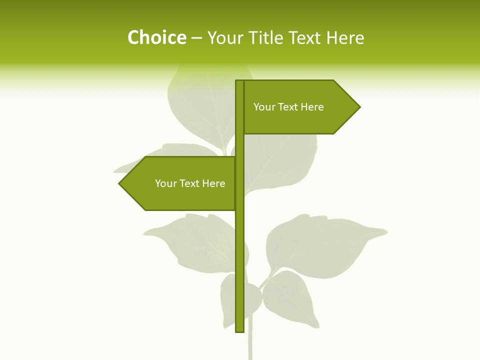 A Green Leaf Isolated On White Background PowerPoint Template