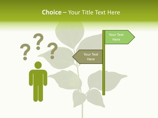 A Green Leaf Isolated On White Background PowerPoint Template