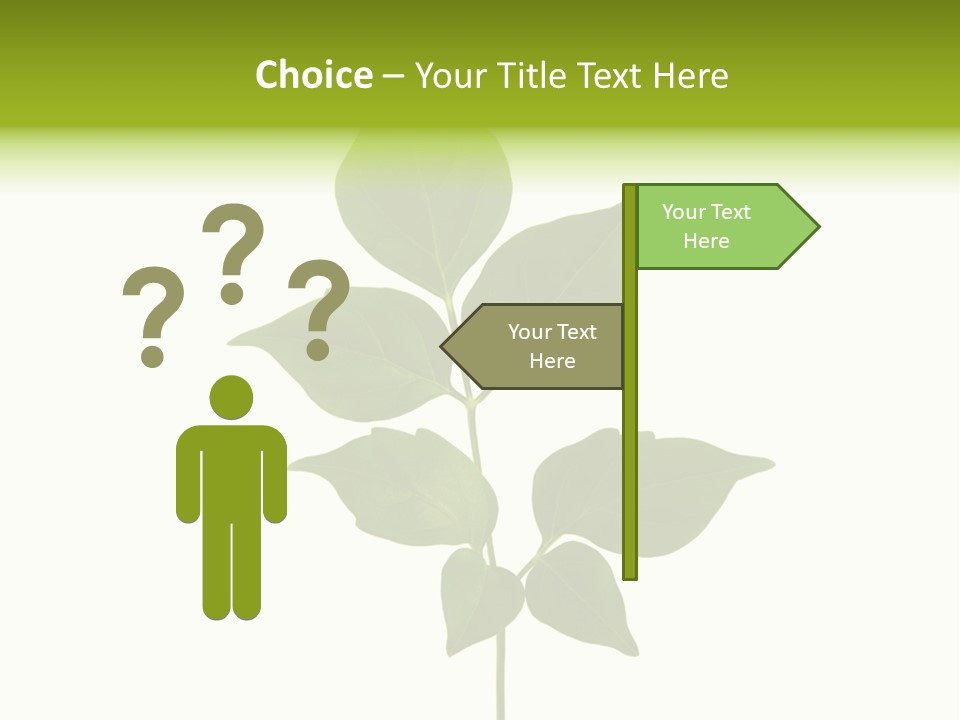 A Green Leaf Isolated On White Background PowerPoint Template