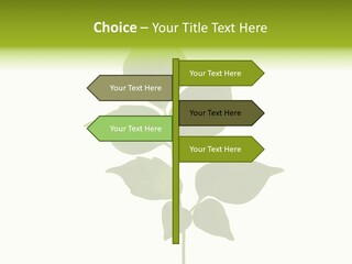 A Green Leaf Isolated On White Background PowerPoint Template