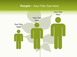 A Green Leaf Isolated On White Background PowerPoint Template