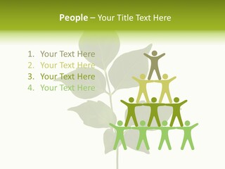 A Green Leaf Isolated On White Background PowerPoint Template