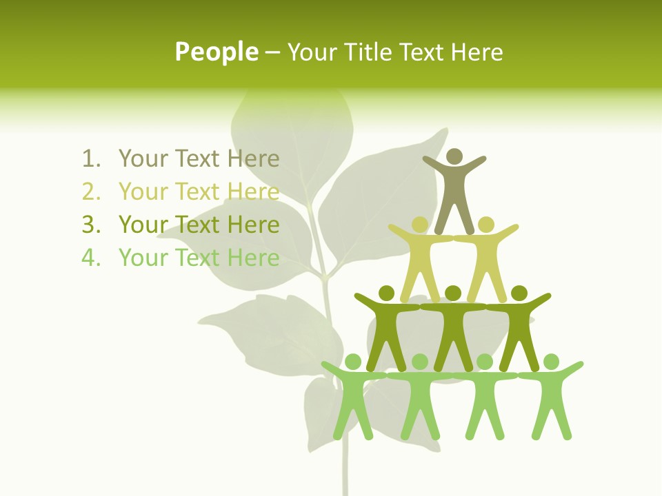 A Green Leaf Isolated On White Background PowerPoint Template