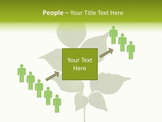 A Green Leaf Isolated On White Background PowerPoint Template