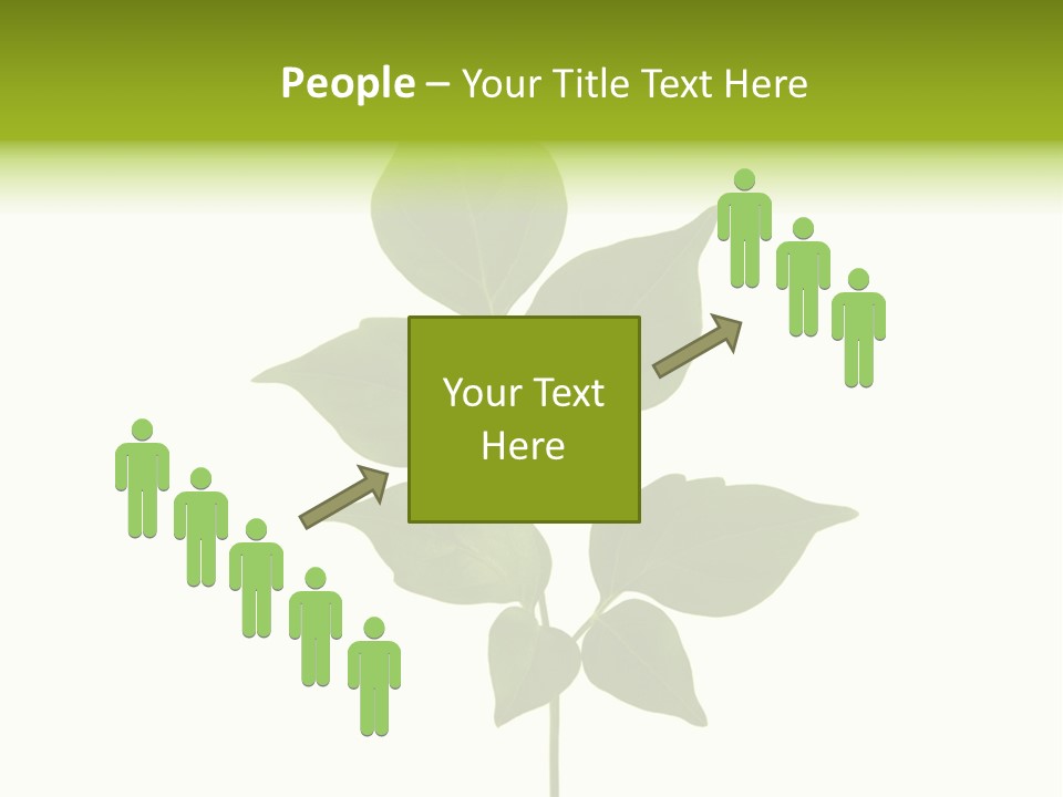 A Green Leaf Isolated On White Background PowerPoint Template