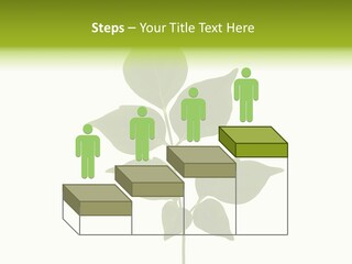 A Green Leaf Isolated On White Background PowerPoint Template