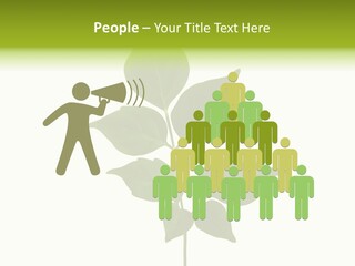 A Green Leaf Isolated On White Background PowerPoint Template