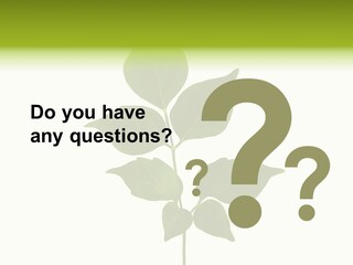 A Green Leaf Isolated On White Background PowerPoint Template