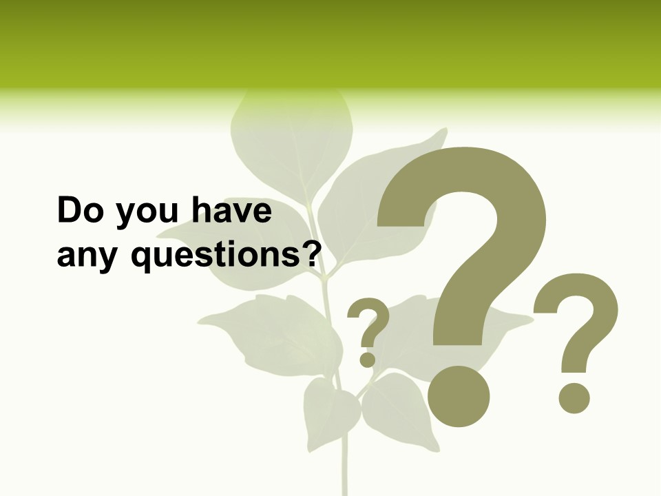 A Green Leaf Isolated On White Background PowerPoint Template
