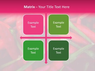 Red Peppers At Farmers Market PowerPoint Template