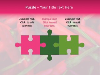 Red Peppers At Farmers Market PowerPoint Template