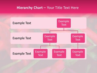 Red Peppers At Farmers Market PowerPoint Template
