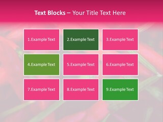 Red Peppers At Farmers Market PowerPoint Template