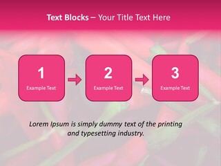 Red Peppers At Farmers Market PowerPoint Template