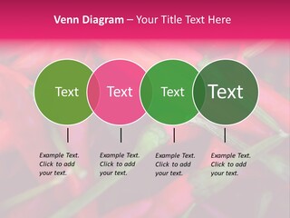 Red Peppers At Farmers Market PowerPoint Template