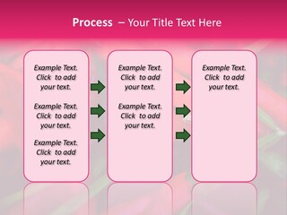Red Peppers At Farmers Market PowerPoint Template