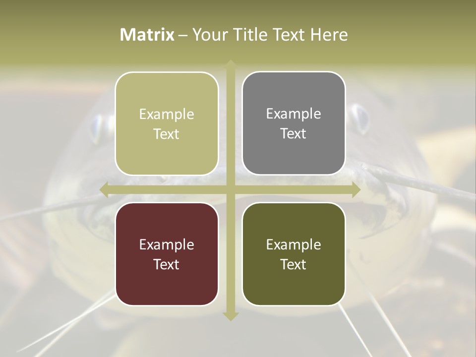 Smiling Catfish PowerPoint Template