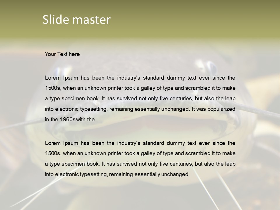 Smiling Catfish PowerPoint Template