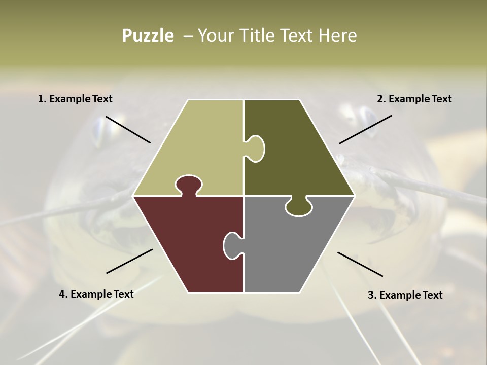 Smiling Catfish PowerPoint Template