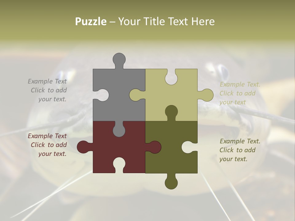 Smiling Catfish PowerPoint Template