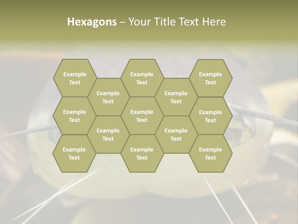 Smiling Catfish PowerPoint Template