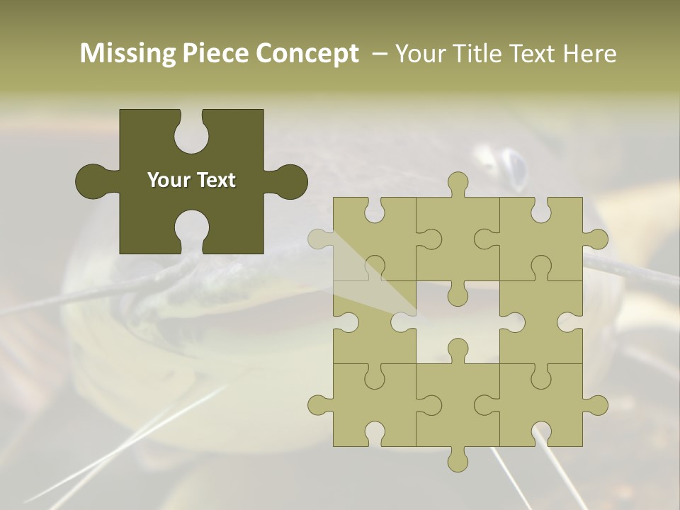 Smiling Catfish PowerPoint Template