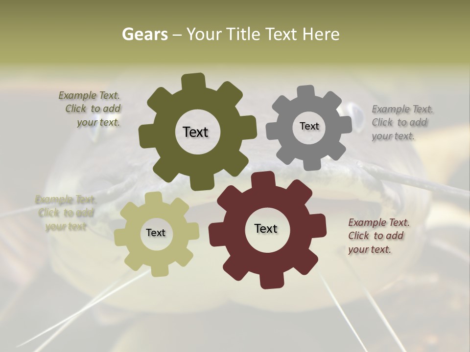 Smiling Catfish PowerPoint Template