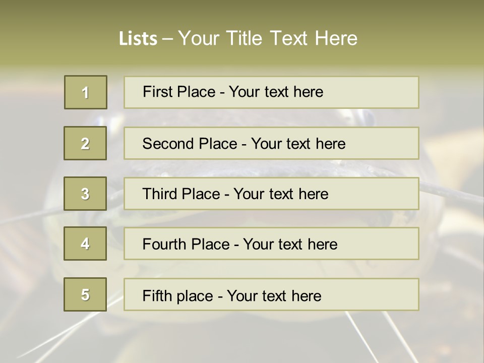 Smiling Catfish PowerPoint Template