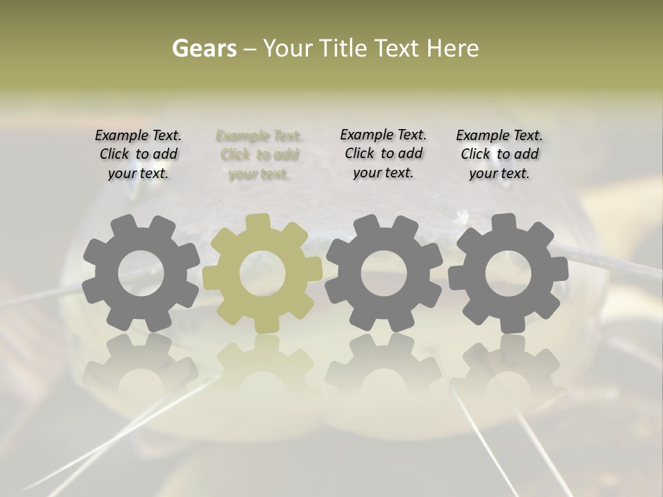 Smiling Catfish PowerPoint Template