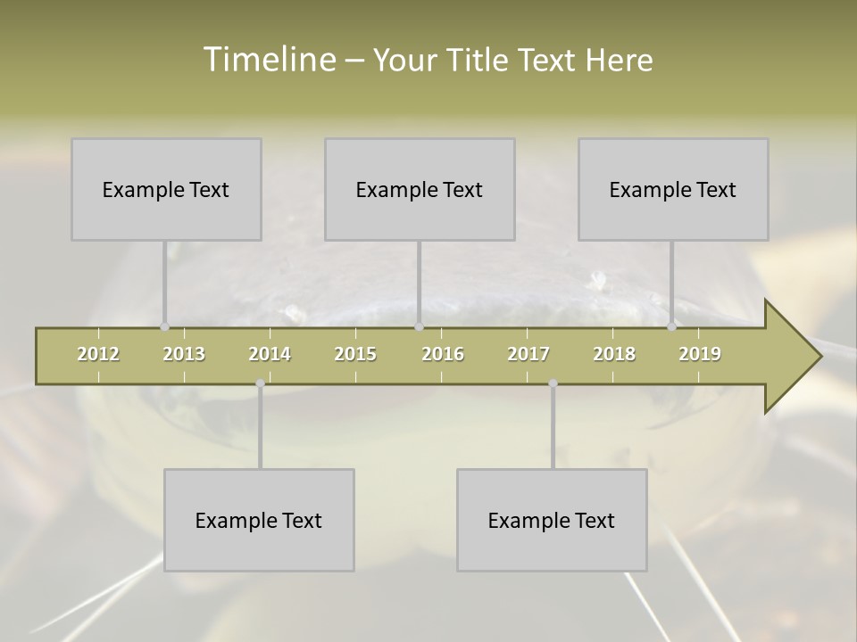 Smiling Catfish PowerPoint Template