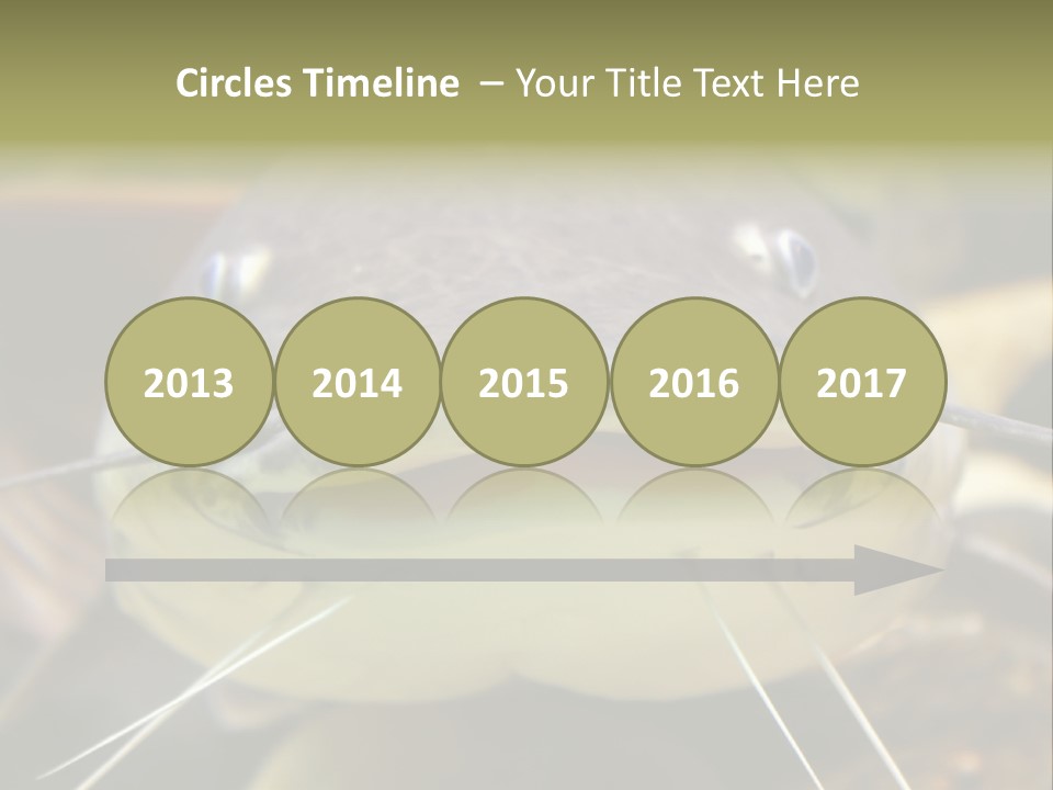 Smiling Catfish PowerPoint Template