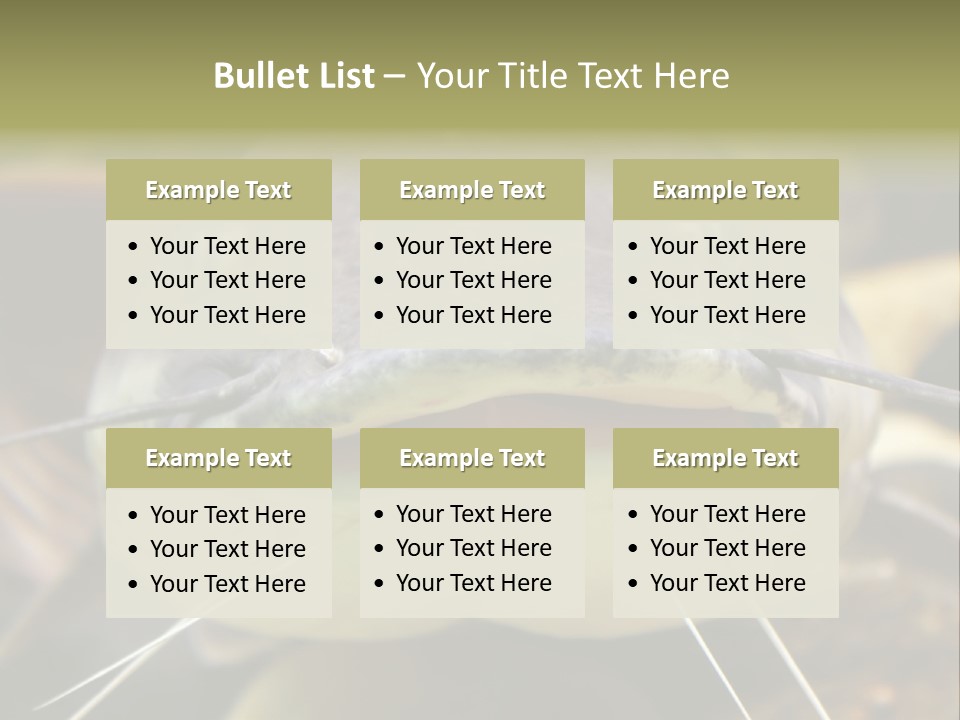 Smiling Catfish PowerPoint Template