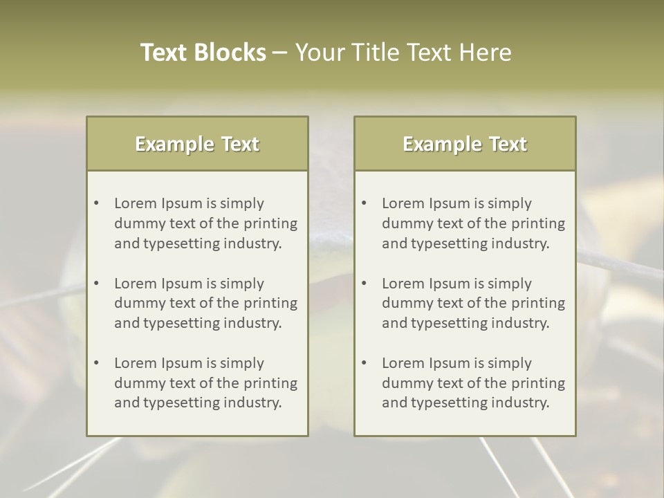 Smiling Catfish PowerPoint Template