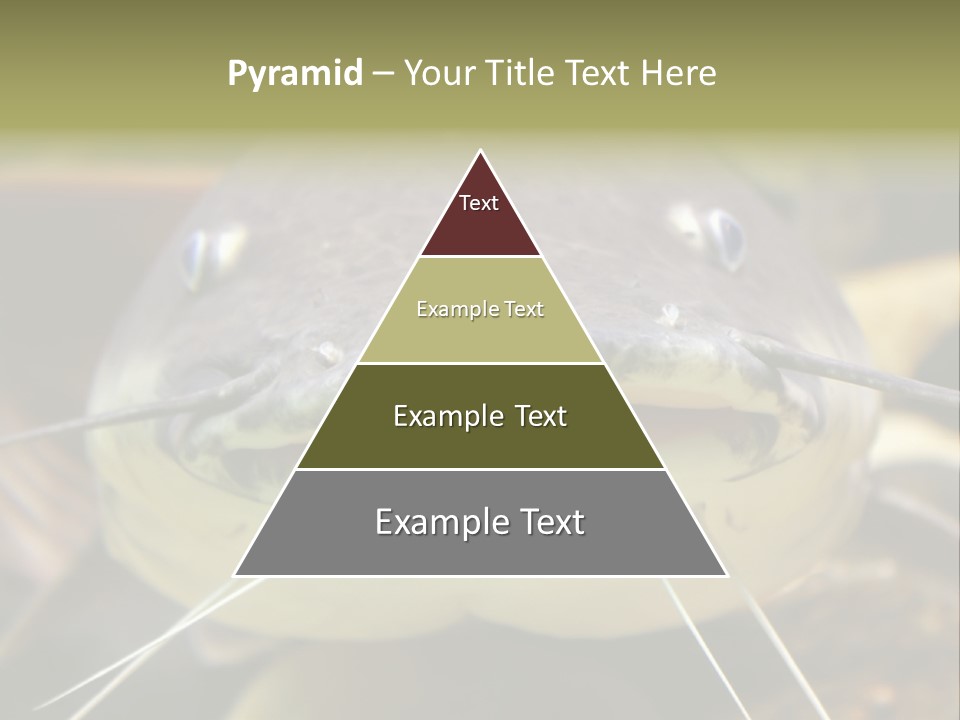 Smiling Catfish PowerPoint Template