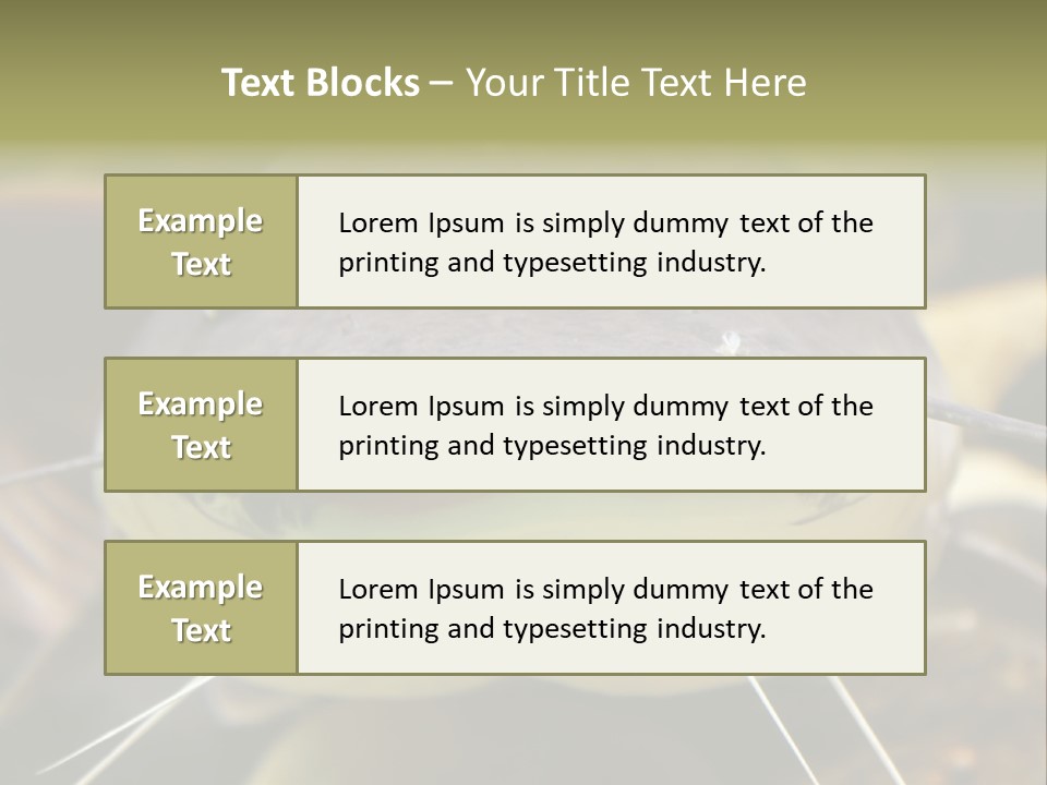 Smiling Catfish PowerPoint Template